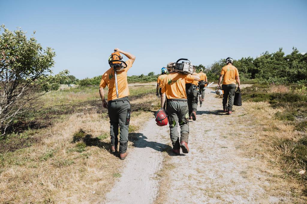 Bild 4 av referensprojekt Våra medarbetare