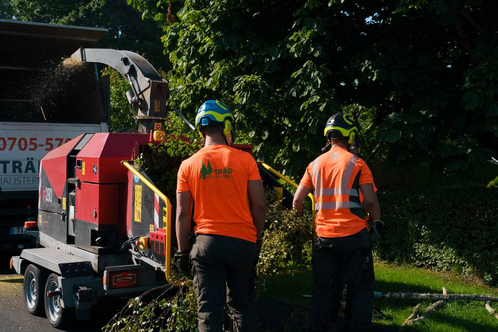 Bild 8 av referensprojekt Nedtagning av dubbelstammig björk i Vallda, Kungsbacka