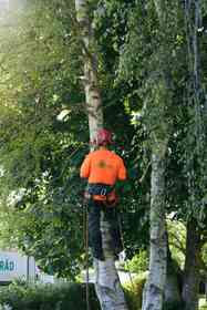 bild 4 på utfört arbete