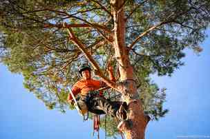 bild 2 på utfört arbete