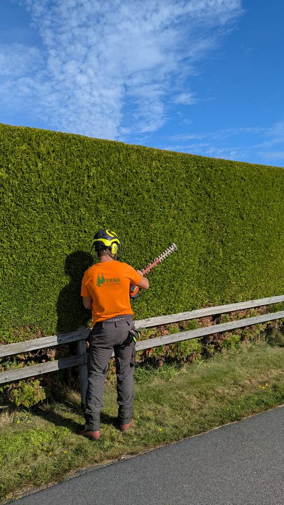 Bild 1 av referensprojekt Häckklippning i Kullavik, Kungsbacka