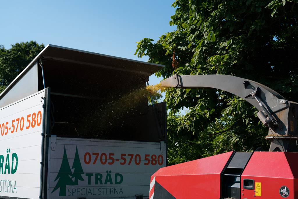 Bild 7 av referensprojekt Nedtagning av dubbelstammig björk i Vallda, Kungsbacka