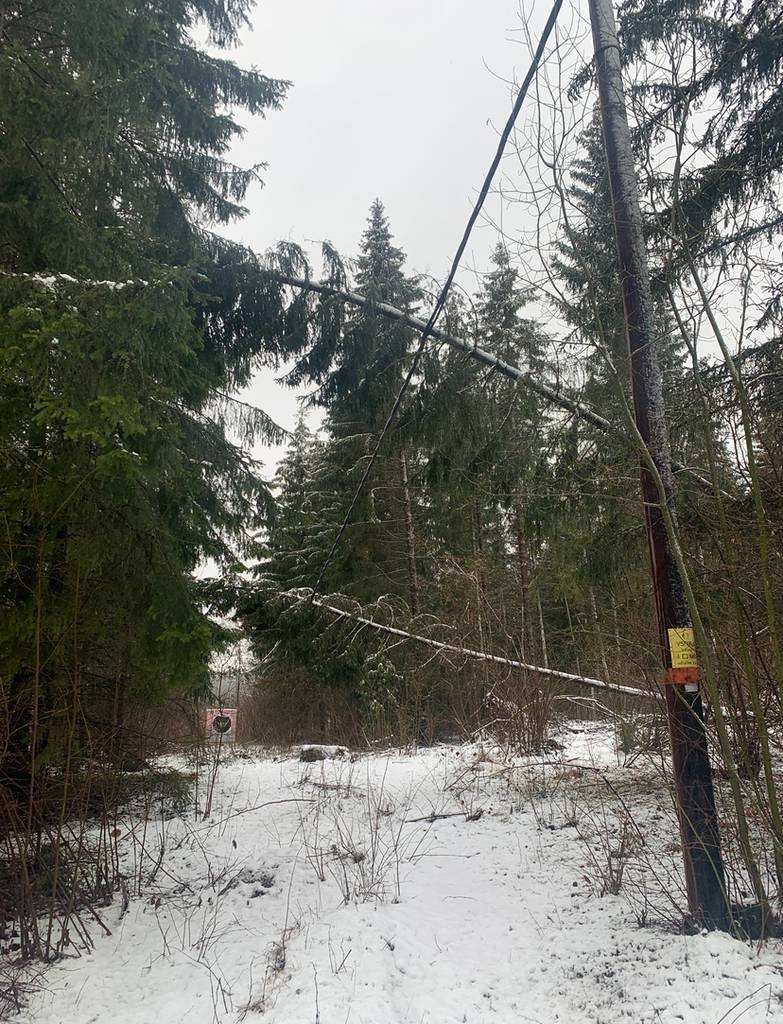 Bild 4 av referensprojekt Exempel på övriga trädjobb som är utförda