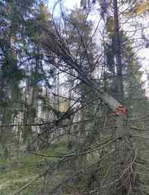 bild 5 på utfört arbete