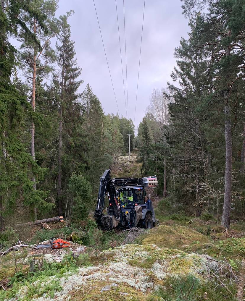 Bild 10 av referensprojekt Exempel på övriga trädjobb som är utförda