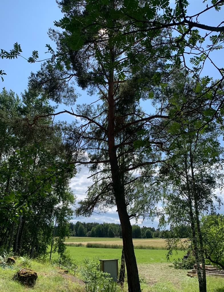 Bild 1 av referensprojekt Ekerö, Färingsö