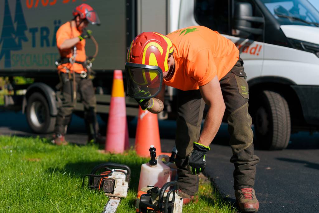 Bild 3 av referensprojekt Nedtagning av dubbelstammig björk i Vallda, Kungsbacka