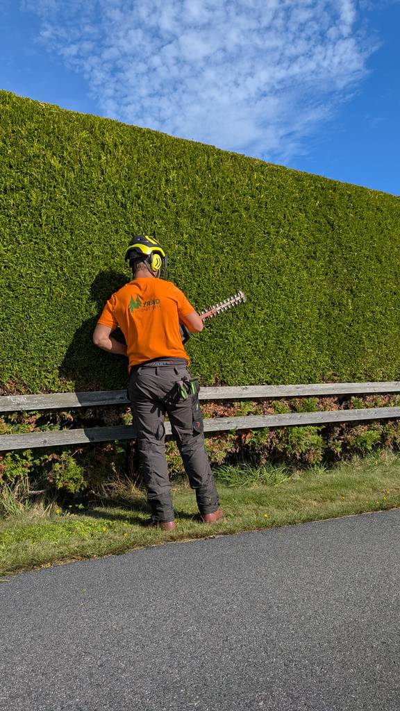 Bild 3 av referensprojekt Häckklippning i Kullavik, Kungsbacka