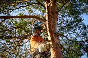 bild 4 på utfört arbete