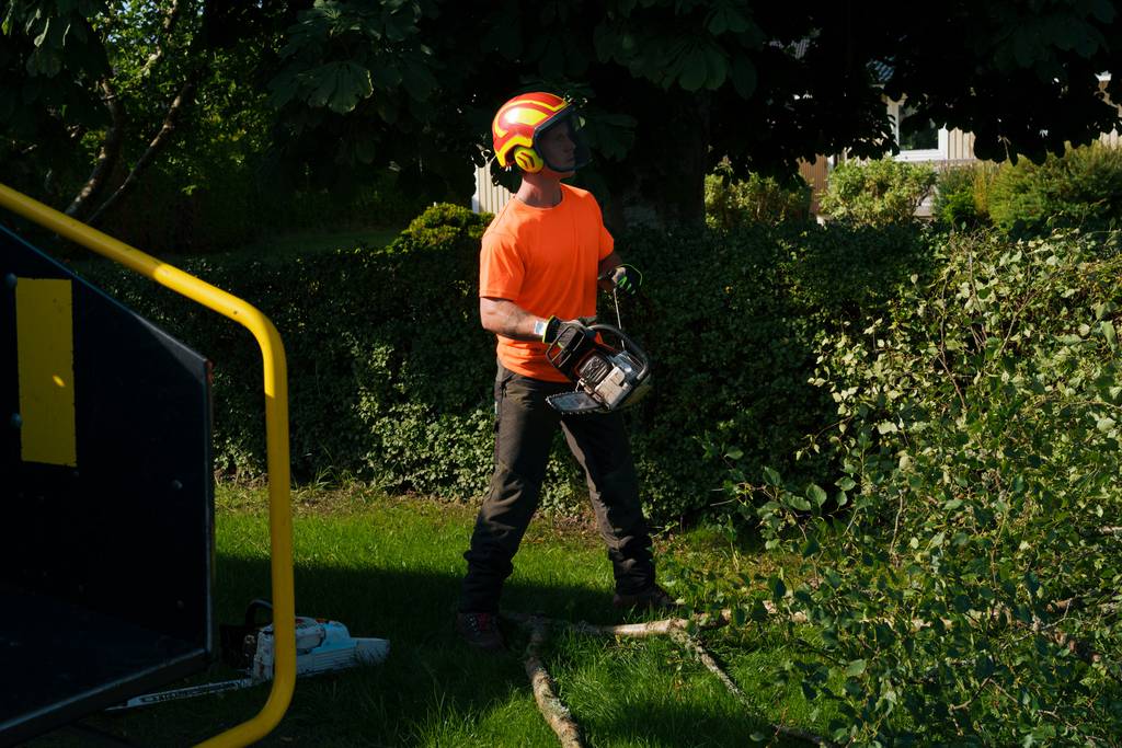 Bild 13 av referensprojekt Nedtagning av dubbelstammig björk i Vallda, Kungsbacka