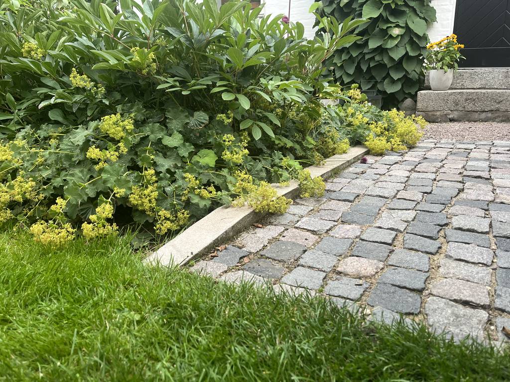 Bild 2 av referensprojekt Kund önskade bättre utnyttjande och struktur av sin trädgård, samt att den skulle bli mer tillgänglig och lättskött.