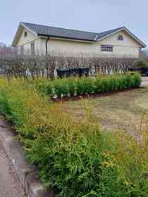 bild 3 på utfört arbete