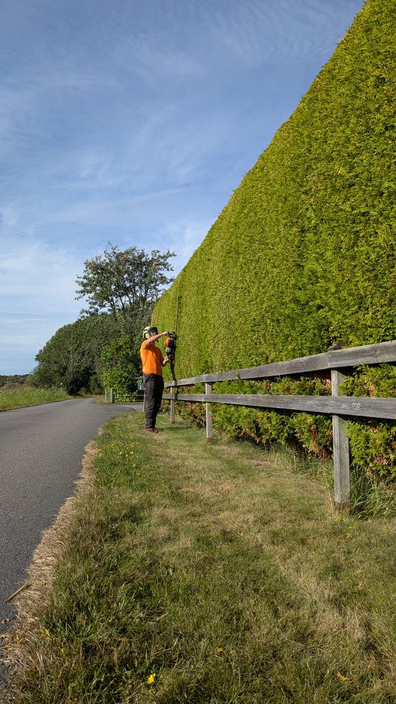 Bild 2 av referensprojekt Häckklippning i Kullavik, Kungsbacka
