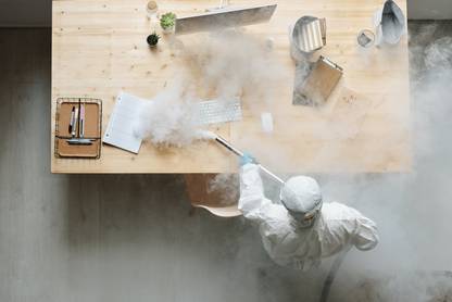 Kategori bild för Sanering skadedjur/allergi