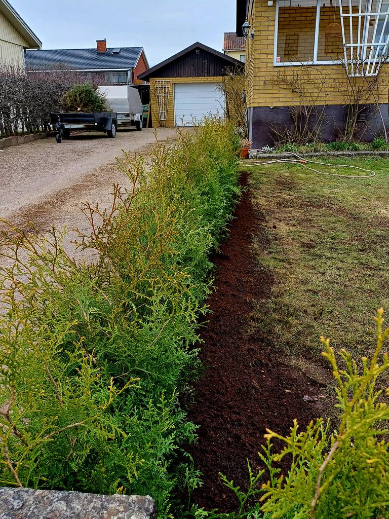 Bild 1 av referensprojekt Plantering av häck