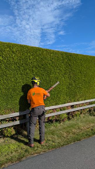 bild 1 på utfört arbete