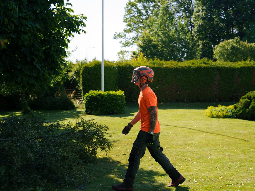 Bild 11 av referensprojekt Nedtagning av dubbelstammig björk i Vallda, Kungsbacka