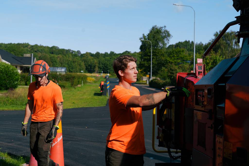 Bild 2 av referensprojekt Nedtagning av dubbelstammig björk i Vallda, Kungsbacka