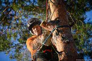 bild 3 på utfört arbete