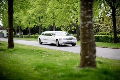 Kategori bild för Hyra limousine