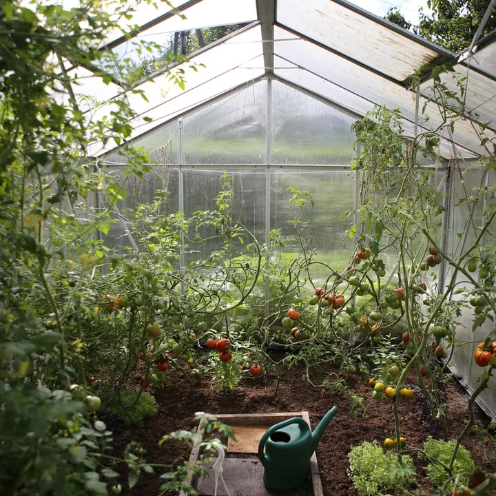 3 tips till dig som planerar att bygga växthus