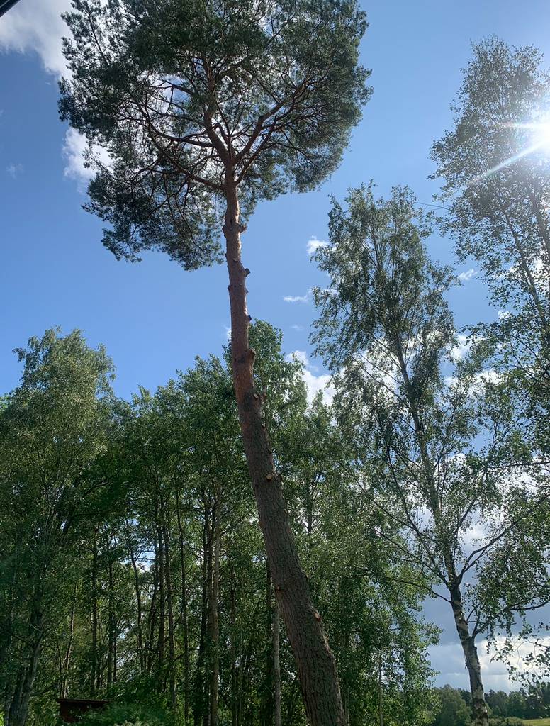 Bild 2 av referensprojekt Ekerö, Färingsö