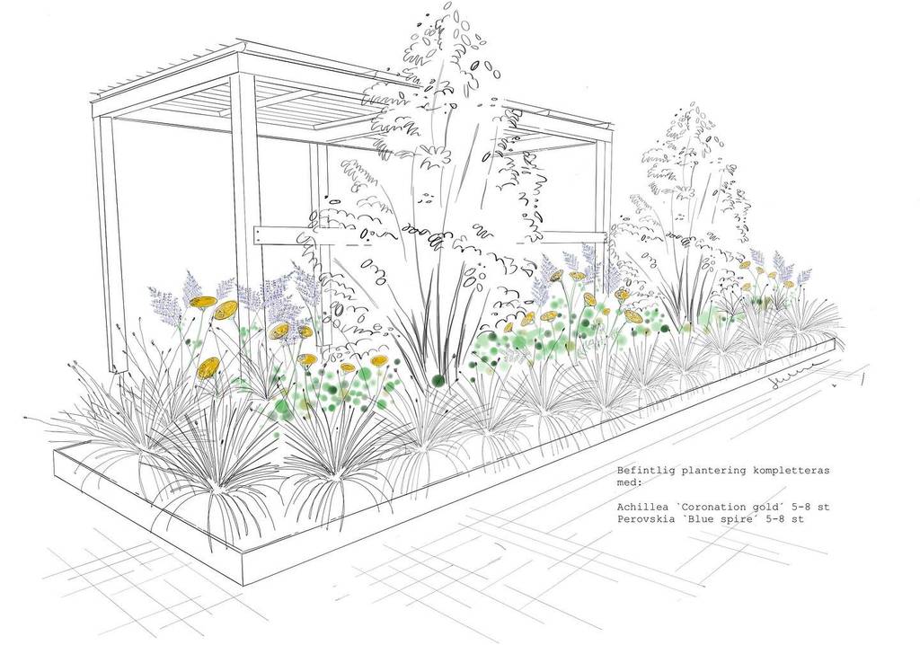 Bild 27 av referensprojekt Design, växtförslag, ritningar