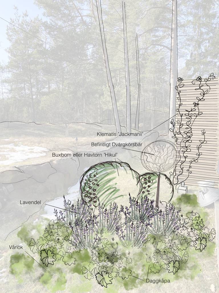 Bild 19 av referensprojekt Design, växtförslag, ritningar