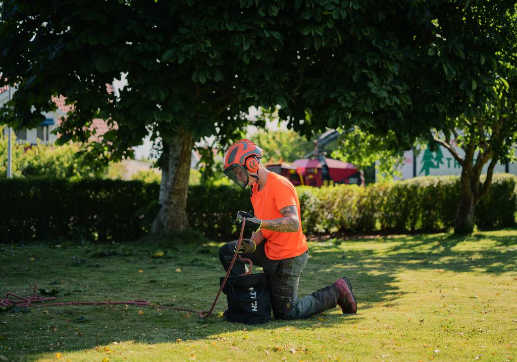 Bild 14 av referensprojekt Nedtagning av dubbelstammig björk i Vallda, Kungsbacka