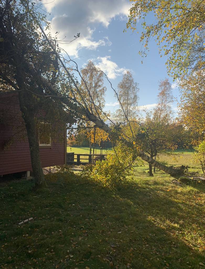 Bild 4 av referensprojekt Ekerö, Färingsö