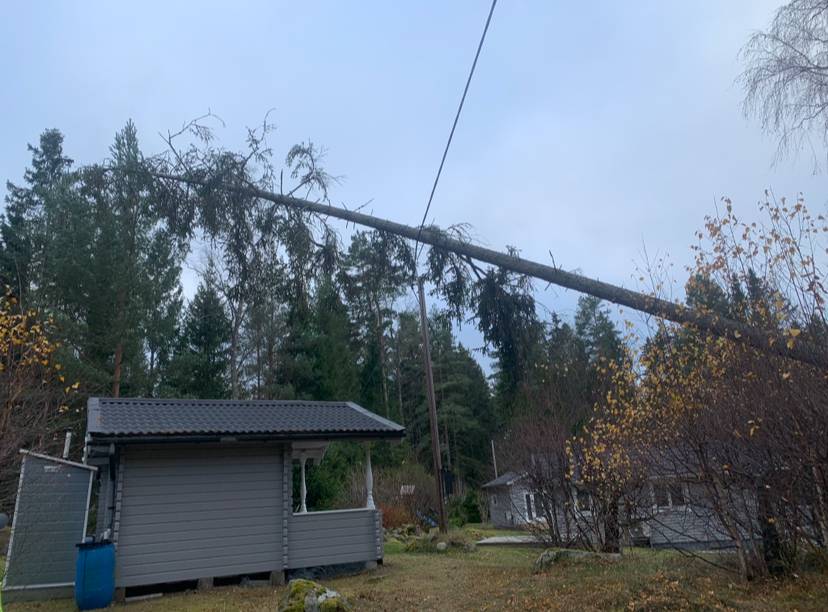 Bild 8 av referensprojekt Exempel på övriga trädjobb som är utförda