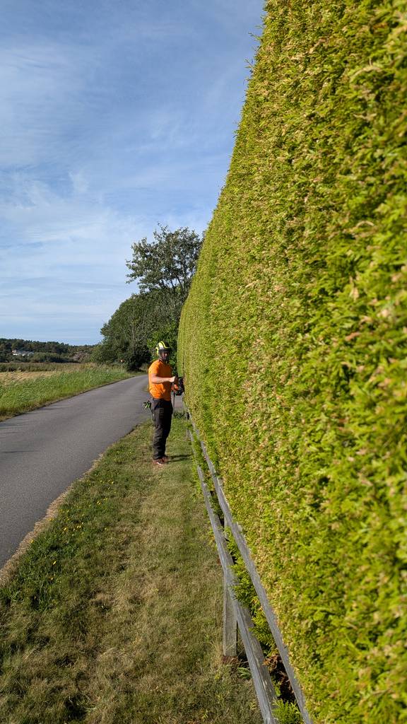 Bild 4 av referensprojekt Häckklippning i Kullavik, Kungsbacka